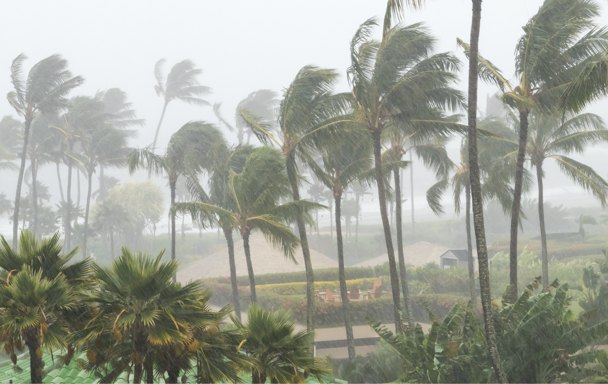 Florida Property Insurance Trends Every Multifamily Investor Should Know